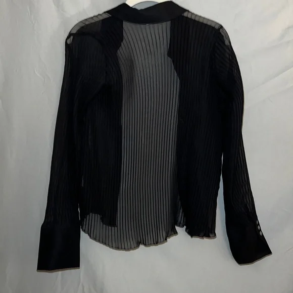 Sheer button up - Picture 2 of 4